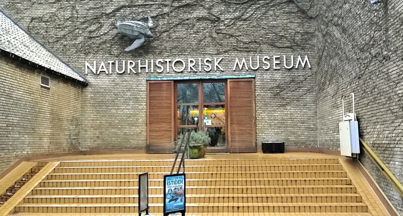 ملف:Naturhistorisk Museum indgang.jpg