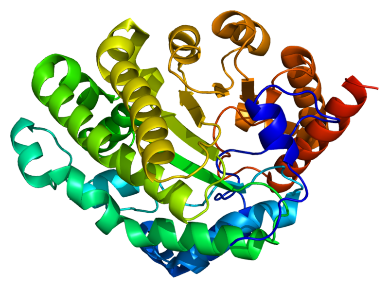 ملف:Protein UROD PDB 1jph.png
