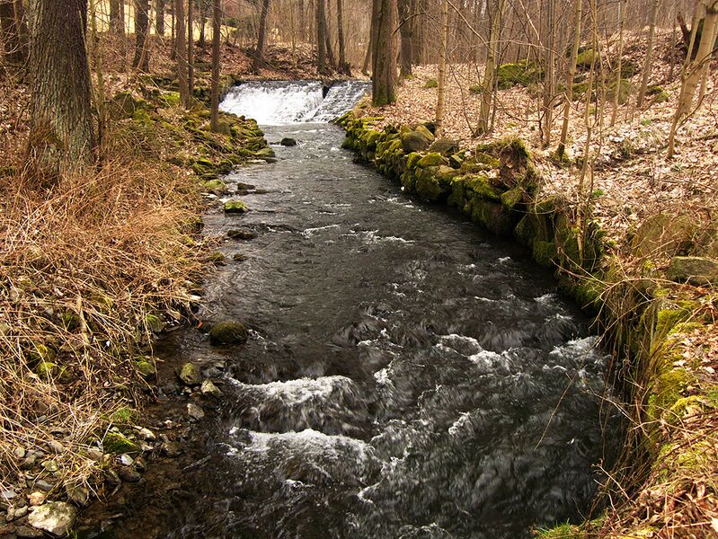 ملف:Rožanský potok 2018 01.jpg