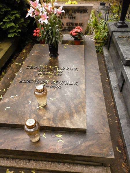 ملف:Aleksander Sewruk grób.JPG