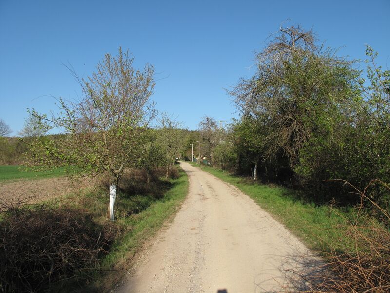 ملف:Kvašťov (Sedlec-Prčice), cesta.jpg