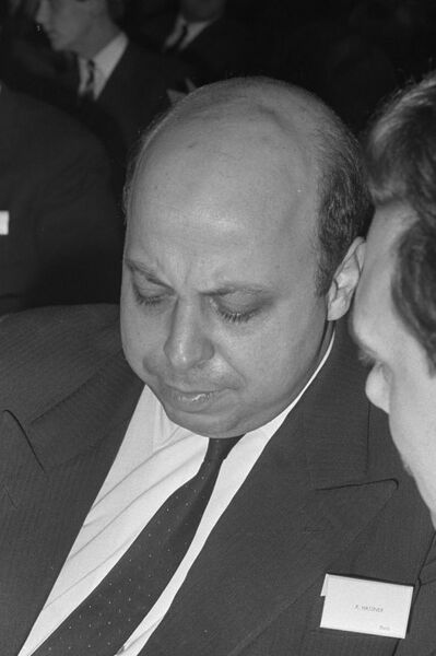 ملف:Pierre Hassner.jpg