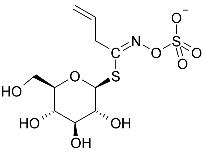 ملف:Sinigrin.png