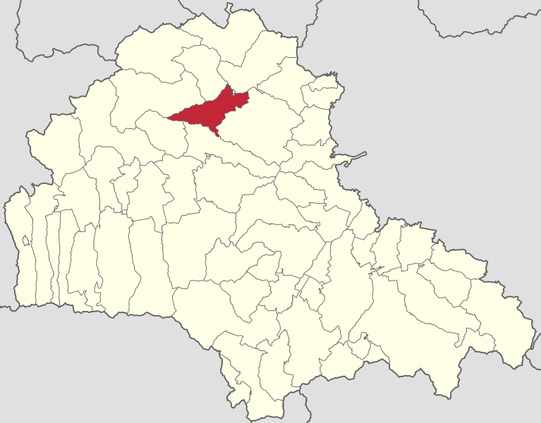 ملف:Ungra jud Brasov.svg