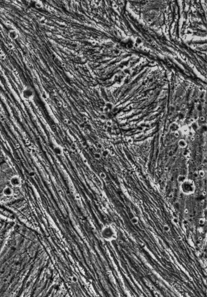 ملف:Uruk Sulcus 07291996 zoom.png