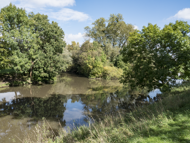 ملف:201709 Nidda-46.tif