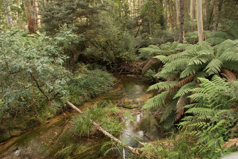 ملف:Bonang River 01 Pengo.jpg