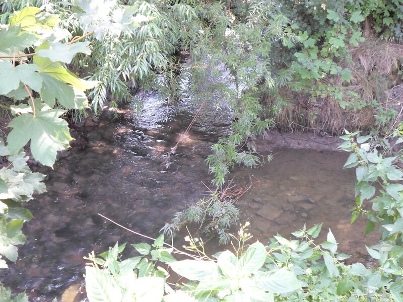 ملف:Bruchgraben (Innerste) Ursprung.JPG