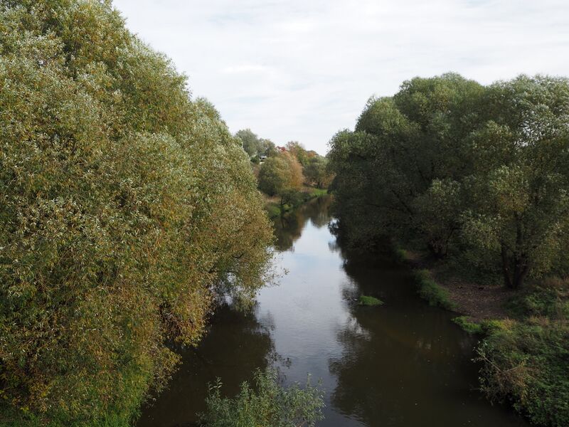 ملف:Desna by Armazovo.jpg