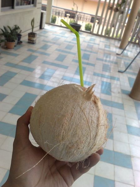 ملف:Drinking coconut.jpg