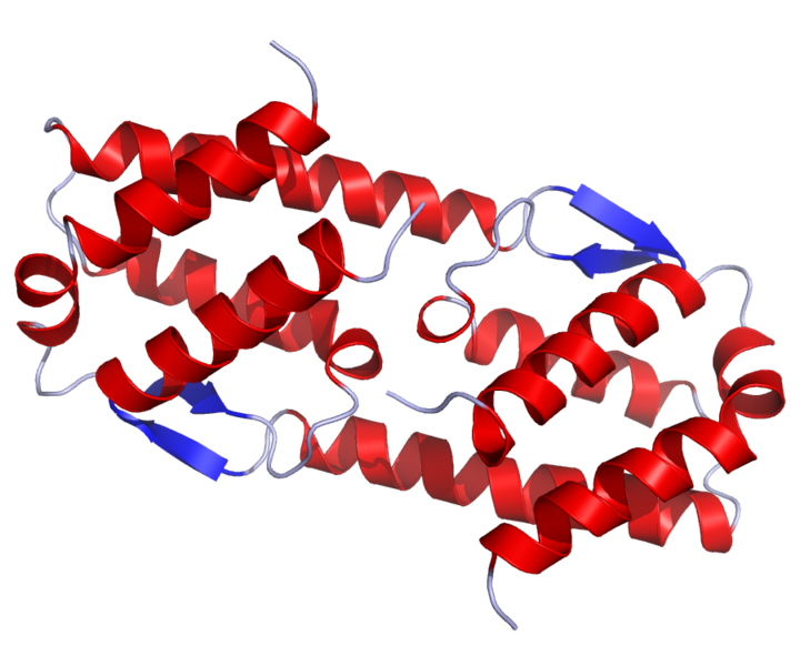 ملف:IL5 Crystal Structure.rsh.png