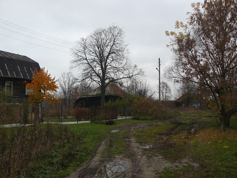 ملف:Lykovo P1090507.jpg