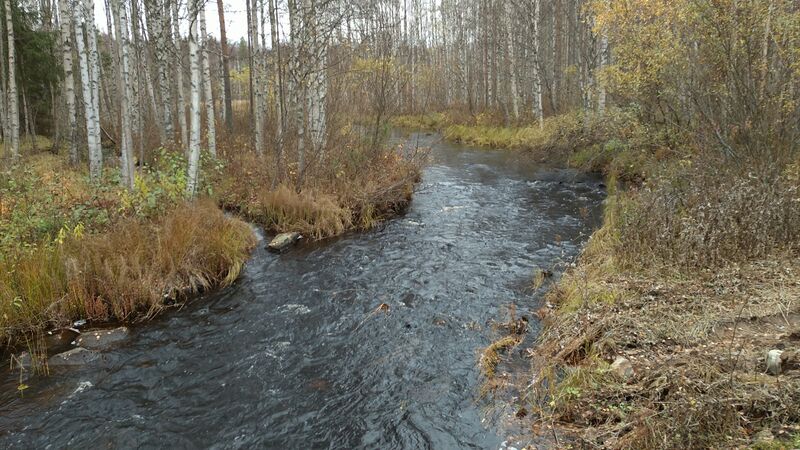 ملف:Onkamonoja Oulu.jpg