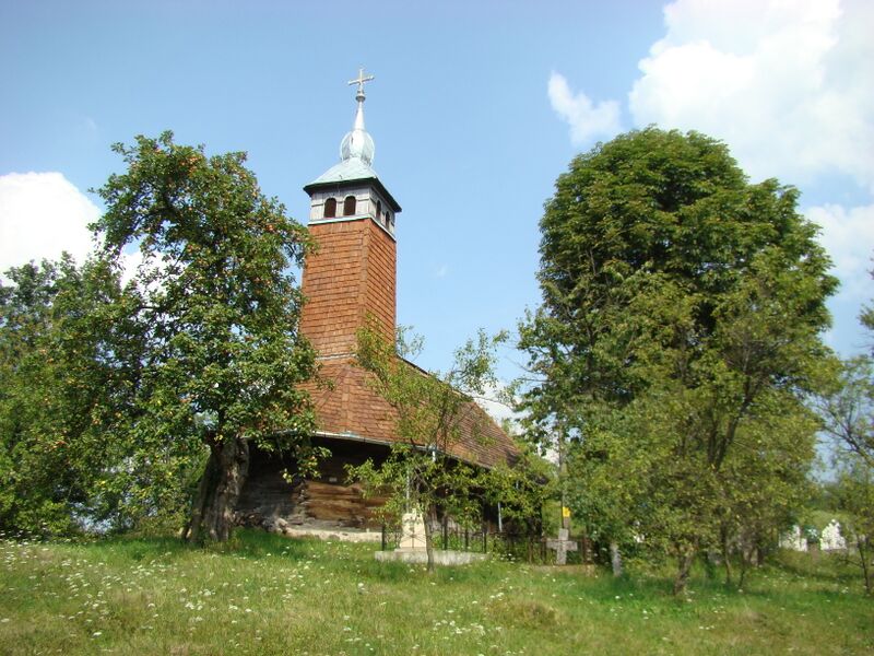 ملف:RO HD Bradatel 9.jpg