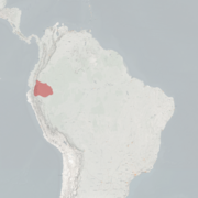 خريطة النطاق