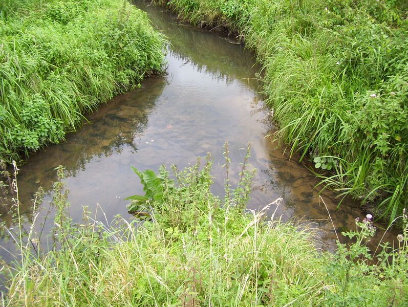 ملف:Scharmbecker Bach.Wienbeck 07092007-1.JPG