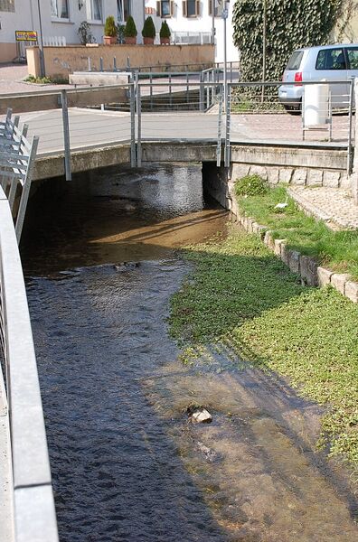 ملف:Weilbach bach fg04.jpg