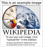 Example image