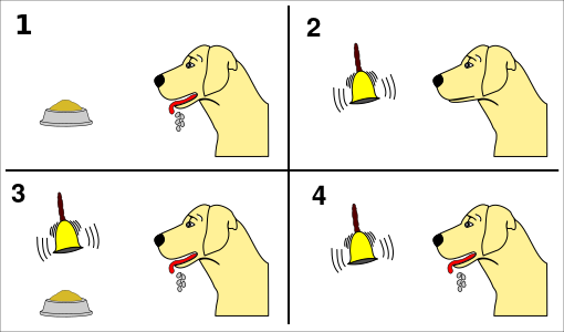 ملف:Pavlov's dog conditioning.svg