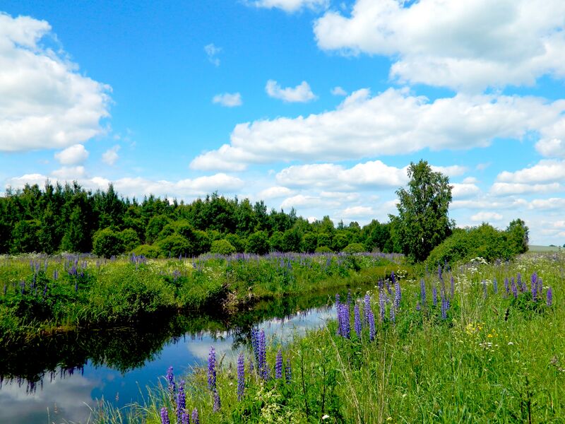 ملف:Reka nacha.jpg