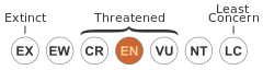 Status iucn3.1 EN.svg