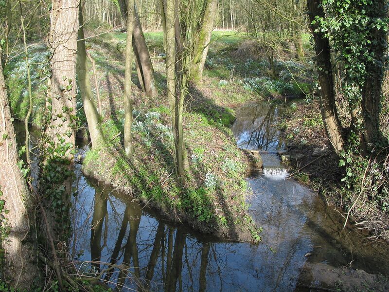 ملف:Casteau JPG05.jpg