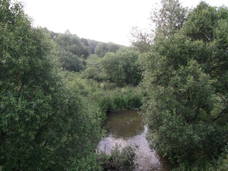 ملف:Dudergofka River2.JPG