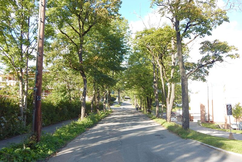 ملف:Gaustadalleen I.jpg