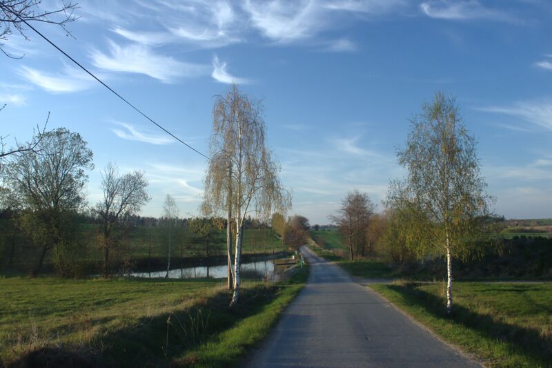 ملف:Křtěnovice, silnice a rybník.jpg