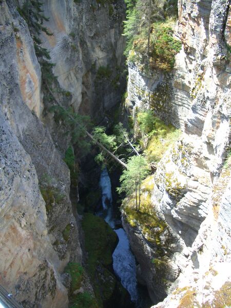 ملف:Maligne canyon z.JPG