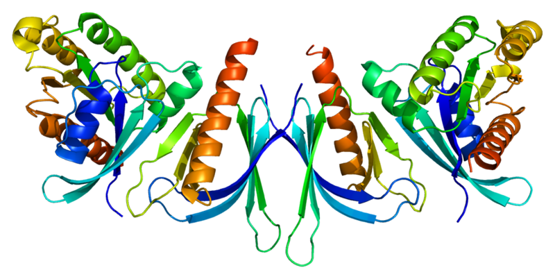 ملف:Protein EXOC8 PDB 1zc3.png