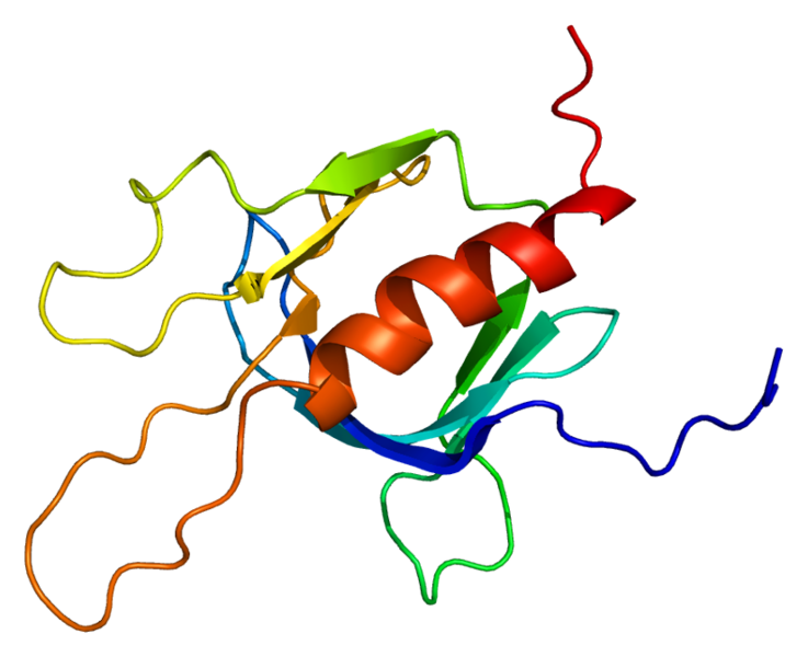 ملف:Protein PRKD2 PDB 2coa.png