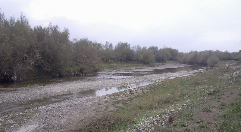 ملف:Raul Tarlung.jpg