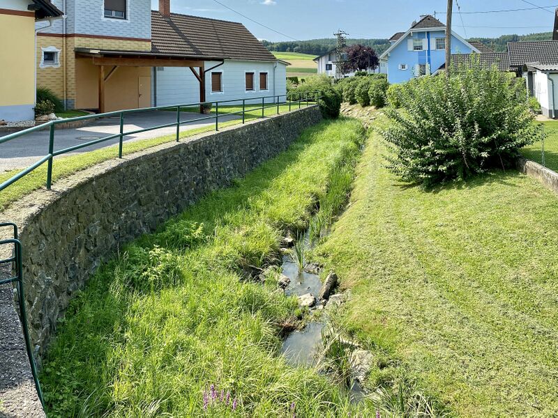 ملف:WTSB Großbachselten Teichbach 03.jpg