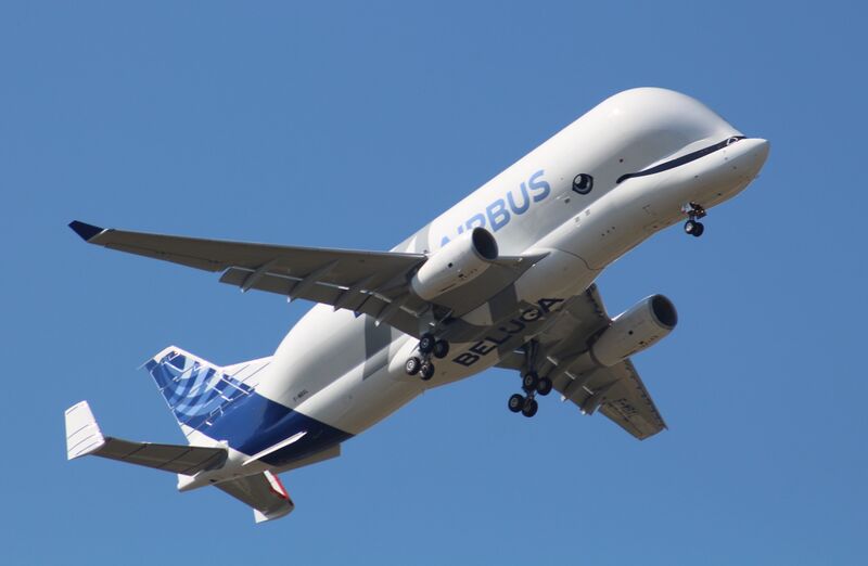 ملف:"Beluga XL" A330-743L (cropped).jpg