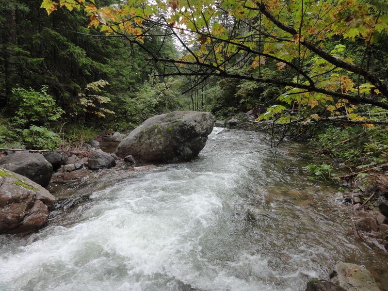 ملف:Верховья Средней Амгу.jpg