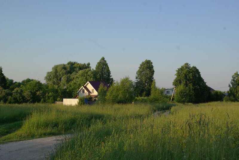 ملف:Дворяниново 2020-06 10.jpg