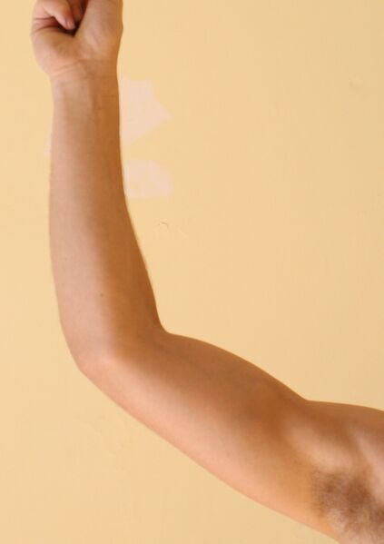 ملف:Arm2.jpg