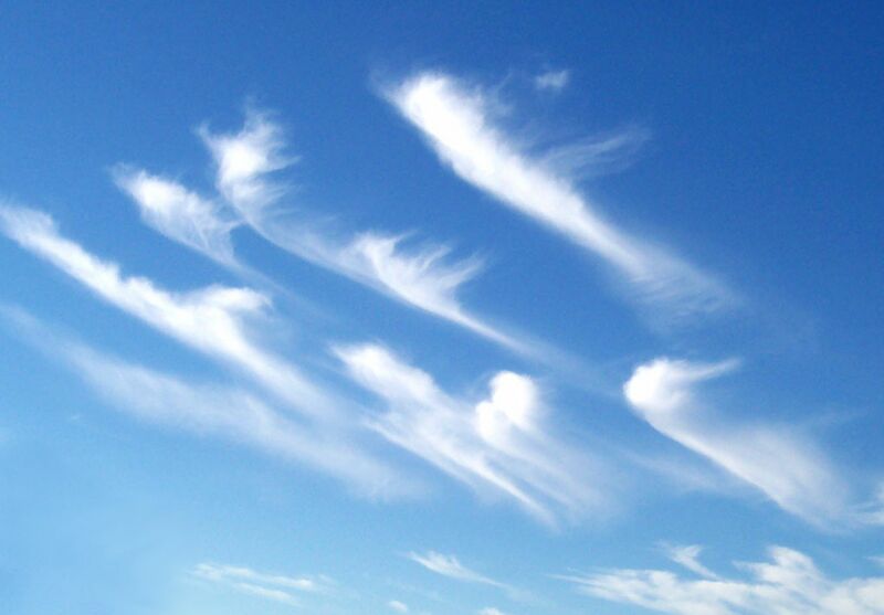 ملف:Cirrus clouds2.jpg