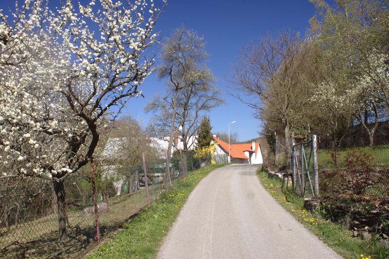 ملف:Dolní Kouty, silnice.jpg