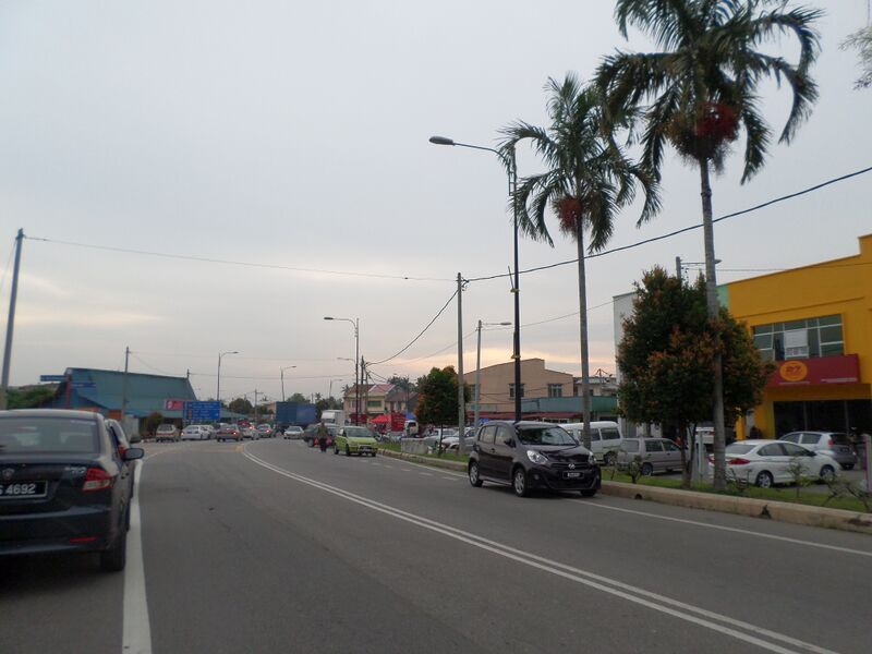 ملف:Durian Tunggal.JPG