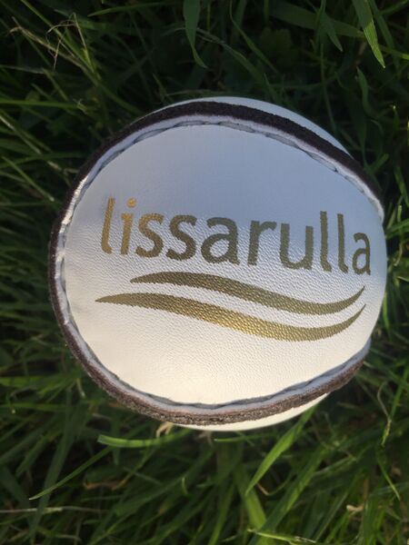 ملف:Hurling sliotar.jpg