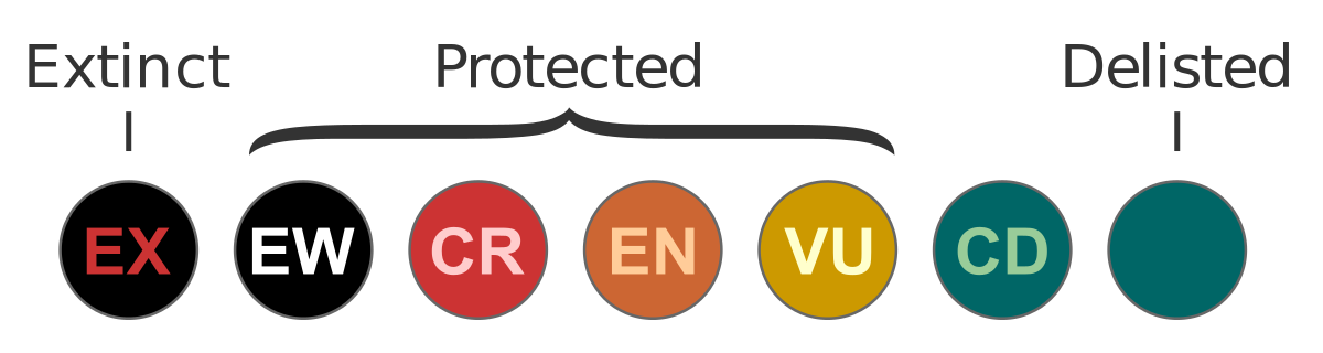 ملف:Status EPBC.svg - المعرفة