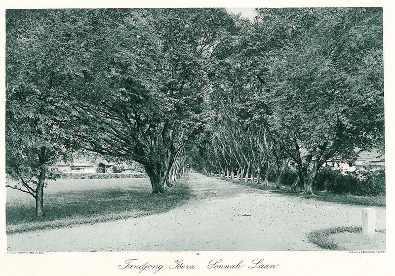 ملف:Tandjong Poera.jpg