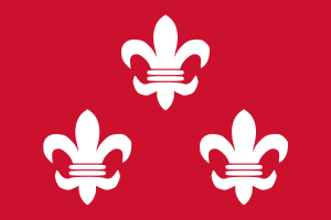 Flag of Beverwijk.svg