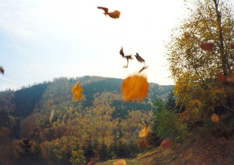 ملف:Kelcsky Javornik.jpg