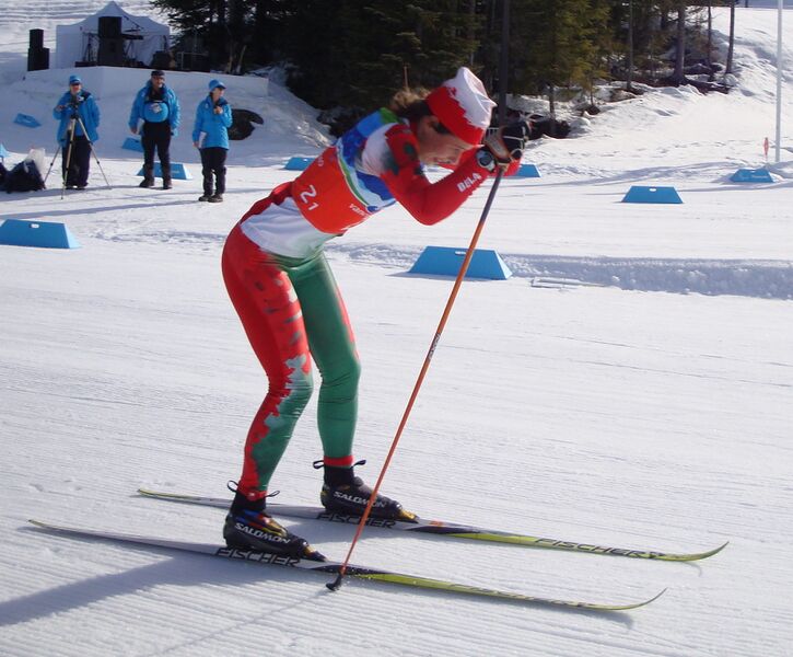 ملف:Paralympic XC ski one-arm.JPG
