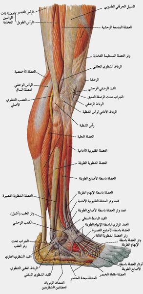 ملف:Part4.jpg