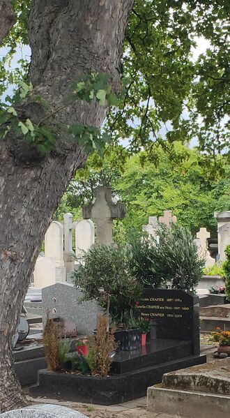 ملف:Tombe d'Henry CHAPIER.jpg