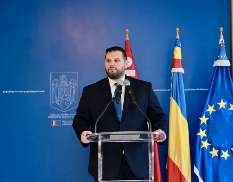 ملف:Ambassador Dan Stoenescu.jpg